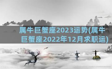 属牛巨蟹座2023运势(属牛巨蟹座2022年12月求职运)