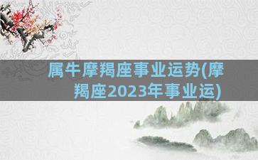 属牛摩羯座事业运势(摩羯座2023年事业运)