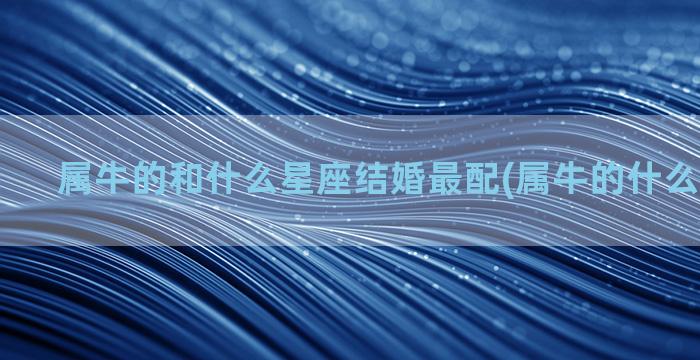 属牛的和什么星座结婚最配(属牛的什么星座最好)