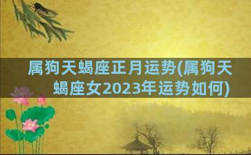 属狗天蝎座正月运势(属狗天蝎座女2023年运势如何)