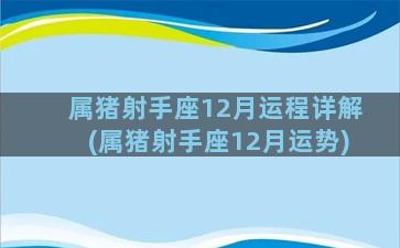 属猪射手座12月运程详解(属猪射手座12月运势)