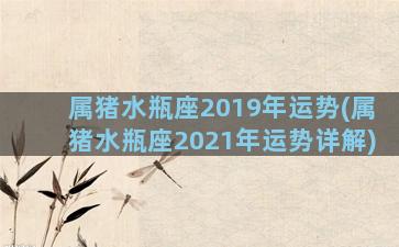 属猪水瓶座2019年运势(属猪水瓶座2021年运势详解)