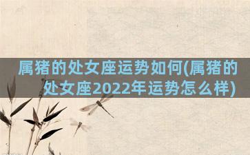 属猪的处女座运势如何(属猪的处女座2022年运势怎么样)