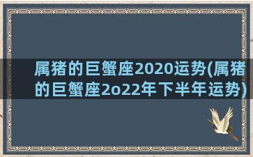 属猪的巨蟹座2020运势(属猪的巨蟹座2o22年下半年运势)