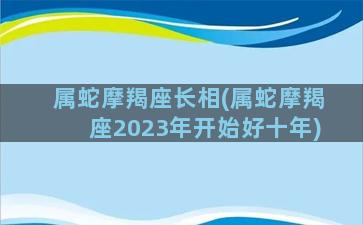 属蛇摩羯座长相(属蛇摩羯座2023年开始好十年)