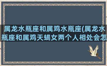 属龙水瓶座和属鸡水瓶座(属龙水瓶座和属鸡天蝎女两个人相处会怎么样)