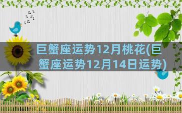 巨蟹座运势12月桃花(巨蟹座运势12月14日运势)