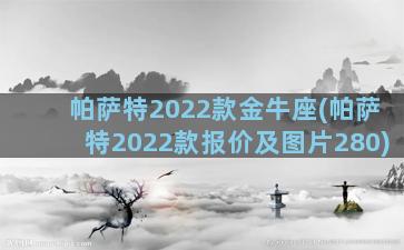 帕萨特2022款金牛座(帕萨特2022款报价及图片280)