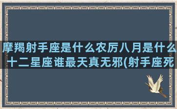 摩羯射手座是什么农厉八月是什么十二星座谁最天真无邪(射手座死于摩羯)