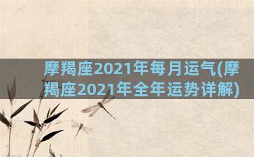 摩羯座2021年每月运气(摩羯座2021年全年运势详解)