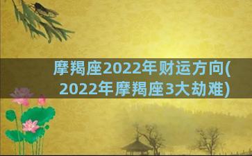 摩羯座2022年财运方向(2022年摩羯座3大劫难)