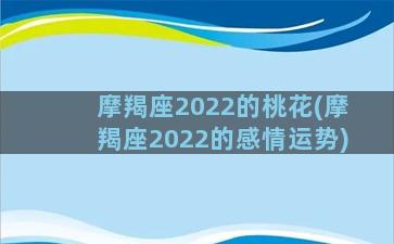 摩羯座2022的桃花(摩羯座2022的感情运势)