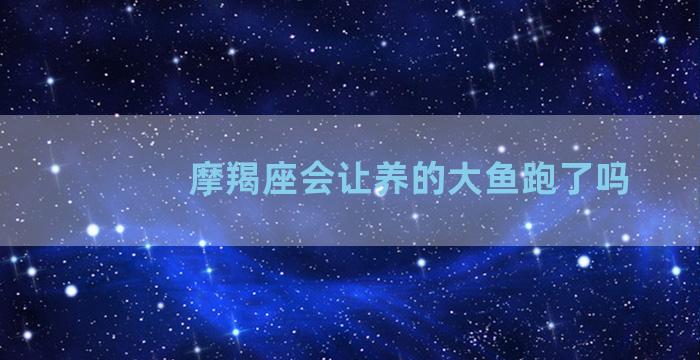 摩羯座会让养的大鱼跑了吗