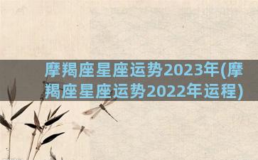 摩羯座星座运势2023年(摩羯座星座运势2022年运程)