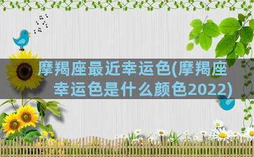 摩羯座最近幸运色(摩羯座幸运色是什么颜色2022)