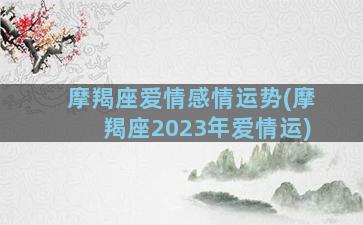 摩羯座爱情感情运势(摩羯座2023年爱情运)