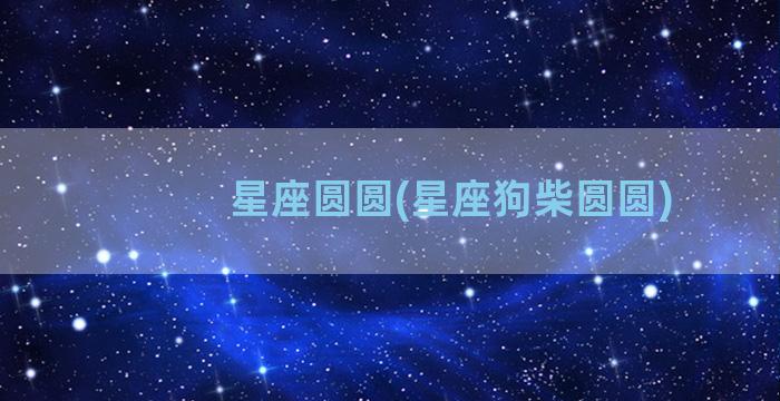 星座圆圆(星座狗柴圆圆)