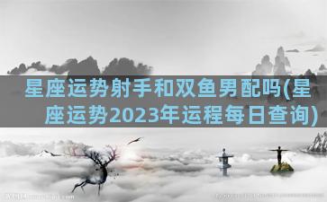 星座运势射手和双鱼男配吗(星座运势2023年运程每日查询)