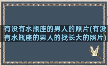 有没有水瓶座的男人的照片(有没有水瓶座的男人的找长大的照片)