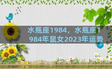 水瓶座1984，水瓶座1984年鼠女2023年运势