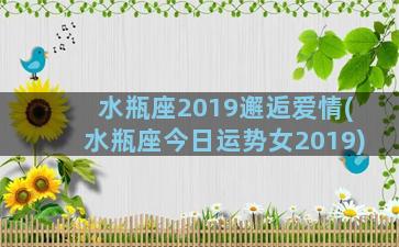 水瓶座2019邂逅爱情(水瓶座今日运势女2019)