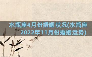 水瓶座4月份婚姻状况(水瓶座2022年11月份婚姻运势)