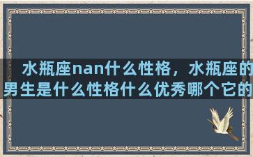 水瓶座nan什么性格，水瓶座的男生是什么性格什么优秀哪个它的特点是优雅