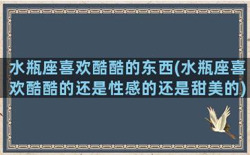 水瓶座喜欢酷酷的东西(水瓶座喜欢酷酷的还是性感的还是甜美的)