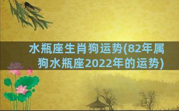 水瓶座生肖狗运势(82年属狗水瓶座2022年的运势)