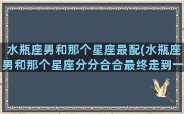 水瓶座男和那个星座最配(水瓶座男和那个星座分分合合最终走到一起)