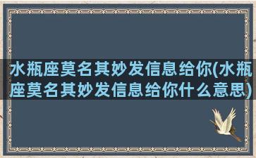 水瓶座莫名其妙发信息给你(水瓶座莫名其妙发信息给你什么意思)