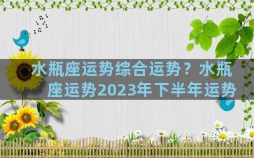 水瓶座运势综合运势？水瓶座运势2023年下半年运势