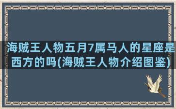 海贼王人物五月7属马人的星座是西方的吗(海贼王人物介绍图鉴)