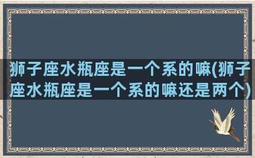 狮子座水瓶座是一个系的嘛(狮子座水瓶座是一个系的嘛还是两个)