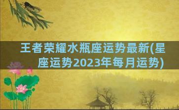 王者荣耀水瓶座运势最新(星座运势2023年每月运势)