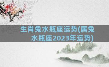 生肖兔水瓶座运势(属兔水瓶座2023年运势)