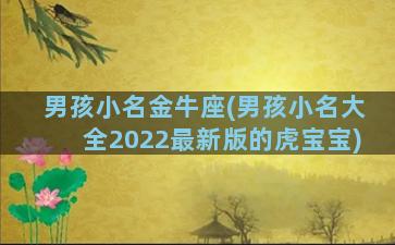 男孩小名金牛座(男孩小名大全2022最新版的虎宝宝)