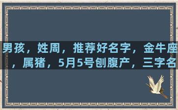 男孩，姓周，推荐好名字，金牛座，属猪，5月5号刨腹产，三字名字