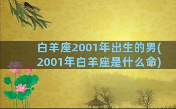 白羊座2001年出生的男(2001年白羊座是什么命)