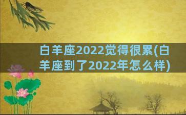 白羊座2022觉得很累(白羊座到了2022年怎么样)