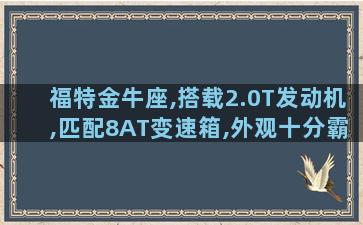 福特金牛座,搭载2.0T发动机,匹配8AT变速箱,外观十分霸气!