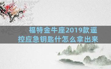 福特金牛座2019款遥控应急钥匙什怎么拿出来