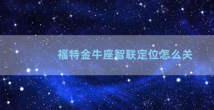 福特金牛座智联定位怎么关