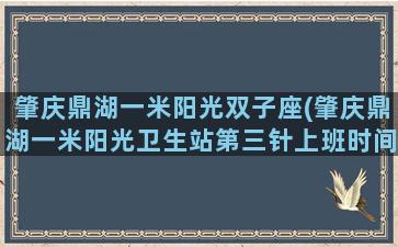 肇庆鼎湖一米阳光双子座(肇庆鼎湖一米阳光卫生站第三针上班时间是几点到几点)