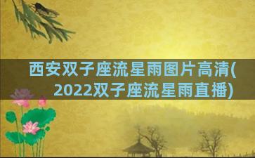 西安双子座流星雨图片高清(2022双子座流星雨直播)