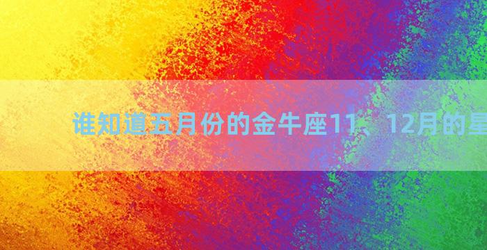 谁知道五月份的金牛座11、12月的星座运势