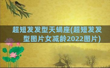 超短发发型天蝎座(超短发发型图片女减龄2022图片)