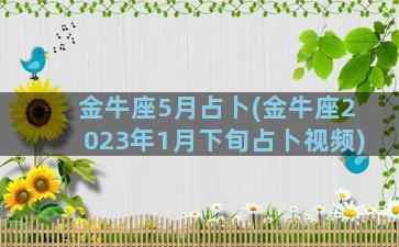 金牛座5月占卜(金牛座2023年1月下旬占卜视频)