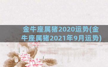 金牛座属猪2020运势(金牛座属猪2021年9月运势)