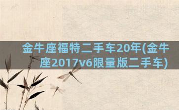 金牛座福特二手车20年(金牛座2017v6限量版二手车)